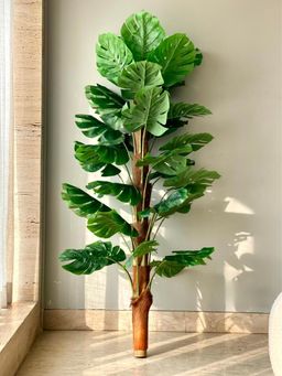 Mason Home - Artificial Monstera Muse Plant - 5 Feet (Without Pot)