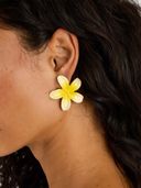 Yellow color option, Sold out