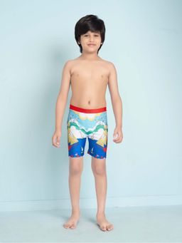 Aarika - Boys Multi-Color Printed Swim Shorts