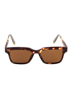 Voyage - Brown Square Sunglass for Unisex (2025MG3570)