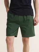 Green color option, Currently selected