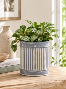 Metalsmith - Table Planter For Indoor Plants (small)