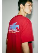 Red color option, Currently selected