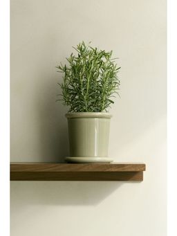 H&M - Green Extra-Small Stoneware Plant Pot With Saucer