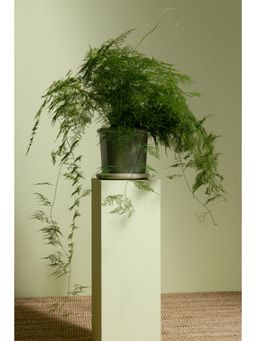 H&M - Green Large Stoneware Plant Pot With Saucer