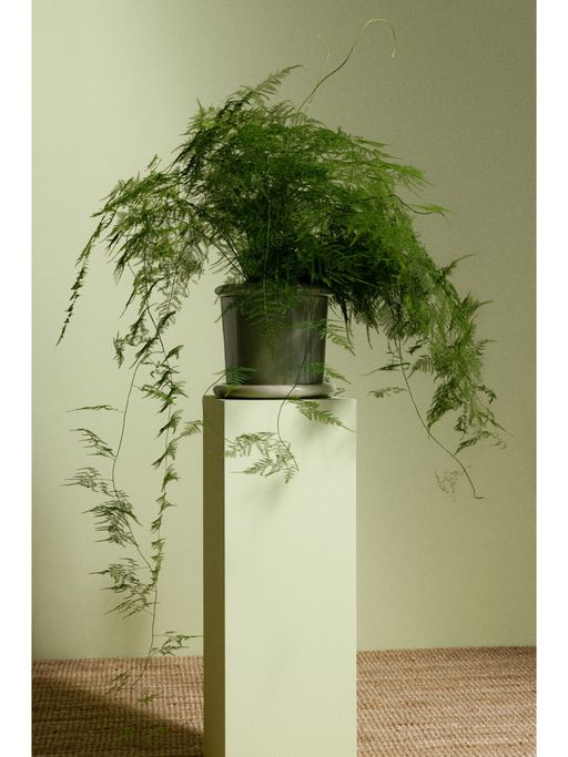 H&M Green Large Stoneware Plant Pot With Saucer