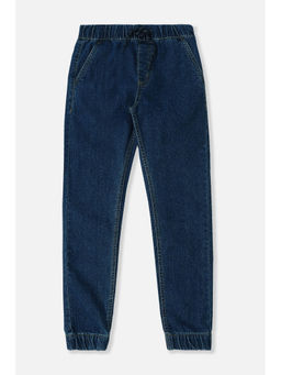 Allen Solly - Boys Blue Jeans