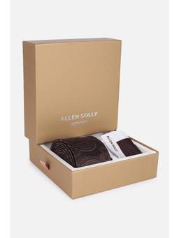 Allen Solly - Men Brown Embroidered Party Ties & Pocket Sqaure (Set of 4)