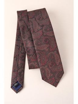 Van Heusen - Men Brown Embroidered Formal Tie