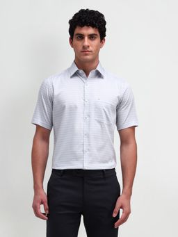 Arrow - Men Grey Stripes Regular Fit Formal Shirt
