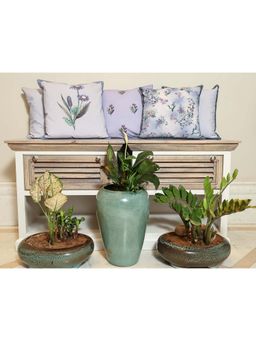 Crown of Poppies - Multi-Color Meadow Cushion Covers (Pack of 5) (16 x 16 Inches)