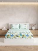 Turquoise color option, Currently selected