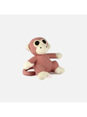 Coral color option, Currently selected