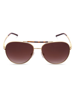 French Connection - Brown Lens Aviator Sunglass Full Rim Gold Frame With Gradient