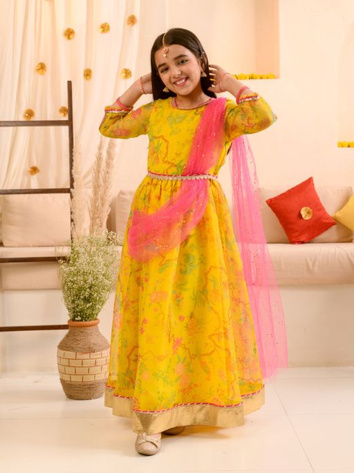 organza ethnic dresses Blue Organza Ethnic Gown
