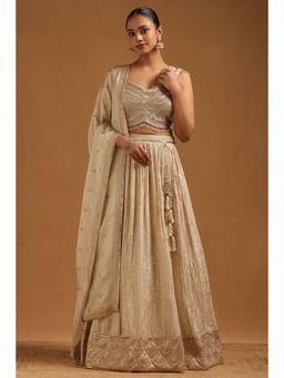 Soch - Beige Tissue Floral Zari Embroidered Lehenga & Choli with Dupatta