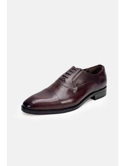 Heel Your Sole - Dutch Lace-Ups Brown Oxfords