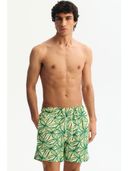 Green color option, Currently selected
