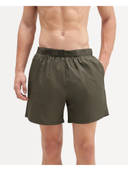 Olive color option