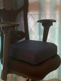 The White Willow - 18x18 Square Seat Cushion-Black (Pack of 2)