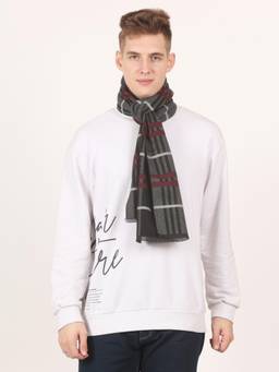 CAZZANO - Men Stripes Multi Color Scarf - Multi-Color