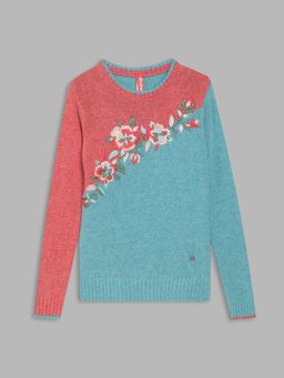 Blue Giraffe - Girls Multi-Color Embroidered Full Sleeves Pullover Style Sweater