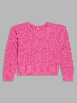 Blue Giraffe - Girls Pink Self Design Round Neck Full Sleeves Pullover Style Sweater
