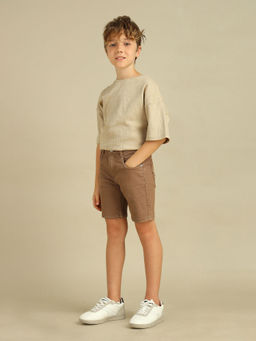 U.S. POLO ASSN. - Brown Solid Regular Fit Shorts