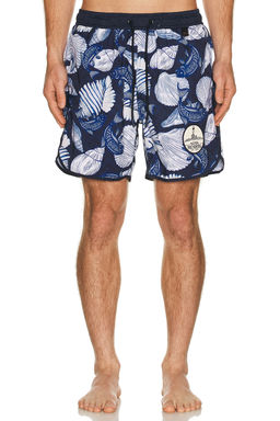 Agua Bendita - Liam Trunks