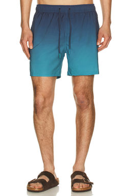 Vintage Summer - Performance Stretch Lined Volleys