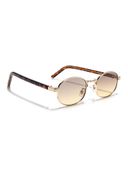 Brown color option, Sold out