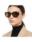 Brown color option, Currently selected