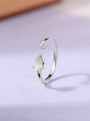 Silver color option, Currently selected