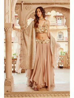 Nikita Vishakha - Beige Mesh Blouse with Lehenga and Dupatta (Set of 3)