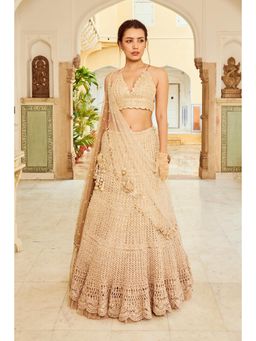 Nikita Vishakha - Beige Mesh Lehenga with Bralette and Dupatta (Set of 3)