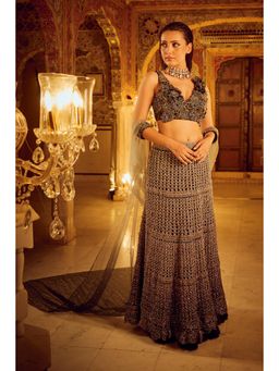 Nikita Vishakha - Brown Mesh Skirt with Blouse and Cape (Set of 3)