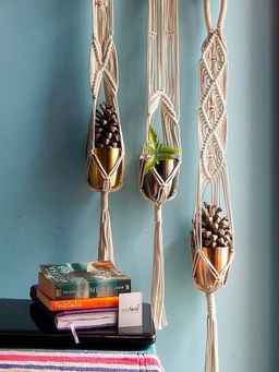 Ecofynd - Macrame Plant Hanger (Pack Of 3)
