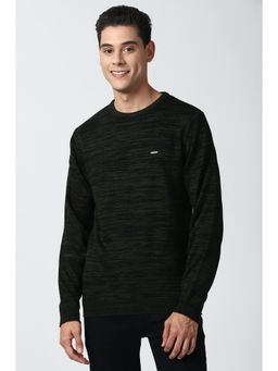Peter England - Men Olive Textured Round Neck Sweater