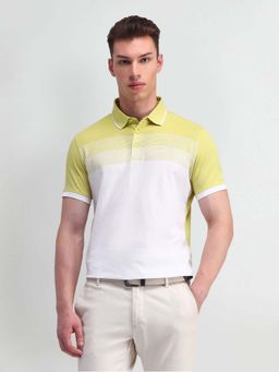 Arrow - Colorblock Cotton Multi-Color Polo T-Shirt