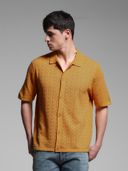 Mustard color option, Currently selected