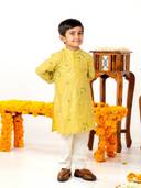 Mustard color option, Currently selected
