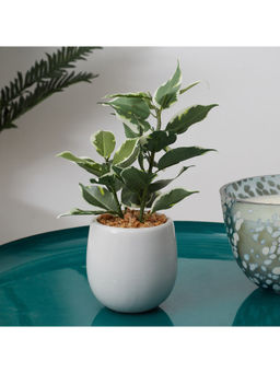 HomeTown - Ilana Faux Quercus Ceramic Potted Plant 23 Cm in Green Colour