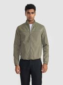 Olive color option, Currently selected