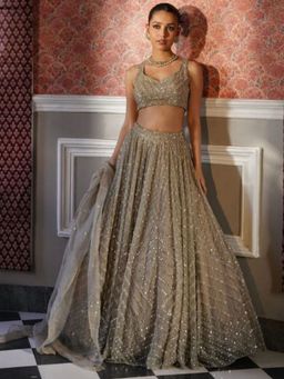 Odette - Grey Organza Embellished Semi Stitched Lehenga and Choli with Dupatta
