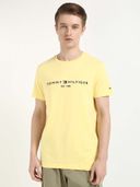 Yellow color option, Currently selected