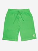 Green color option, Currently selected