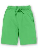 Green color option, Currently selected
