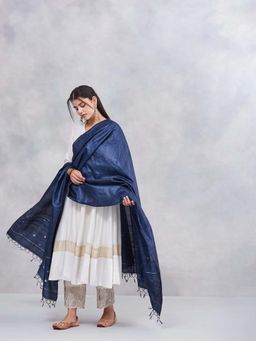 Fabindia - Women Blue Woven Dupatta