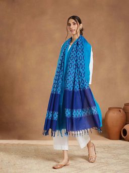 Fabindia - Women Blue Woven Dupatta