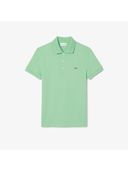 Green color option, Currently selected
